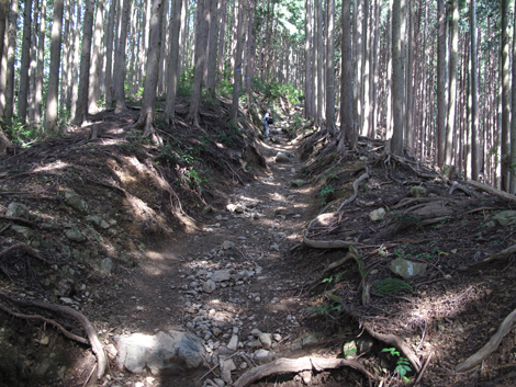 20150929hike (80)